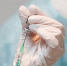 vaccination-5884514_640 - Газета Вперед