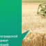 ed70fdc4-a5d7-46c9-883e-93e25cc6636b (1) - Газета Вперед