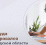 WhatsApp Image 2022-07-14 at 10.29.26 - Газета Вперед